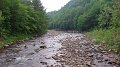 Loyalsock Senic4